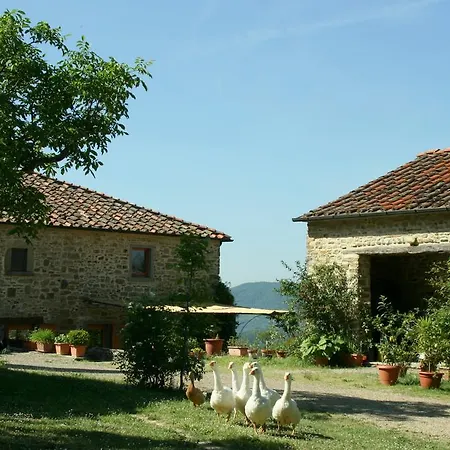Il Trebbio *