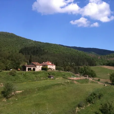 Il Trebbio *
