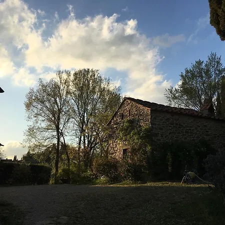 Il Trebbio *